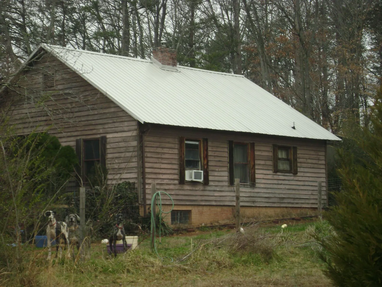 White metal roof on an old wood sided farmhouse, from a Asphalt Shingle Roof Repair job in East Jewett